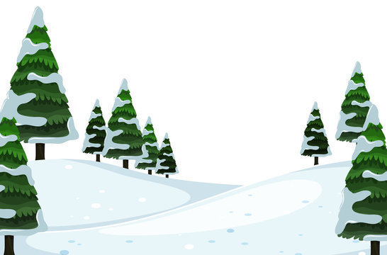 Winter Scene